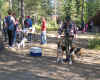 Saunamäen  Martta ja Iina ja 5.8.06